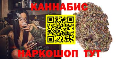 Альфа ПВП Ачхой-Мартан