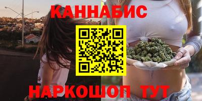 Альфа ПВП Ачхой-Мартан