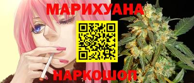 Альфа ПВП Ачхой-Мартан