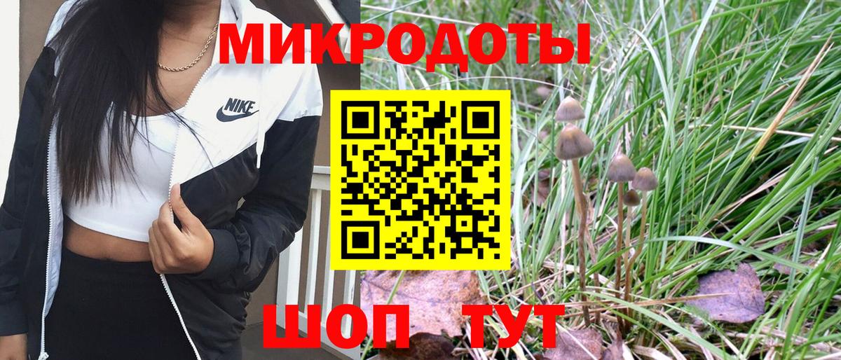 Псилоцибиновые грибы Cubensis Нурлат