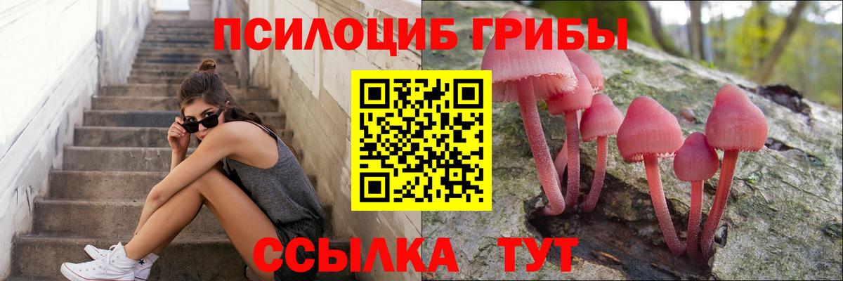 Псилоцибиновые грибы Cubensis  Вход с VPN  Нурлат  Галлюциногенные грибы Psilocybe 